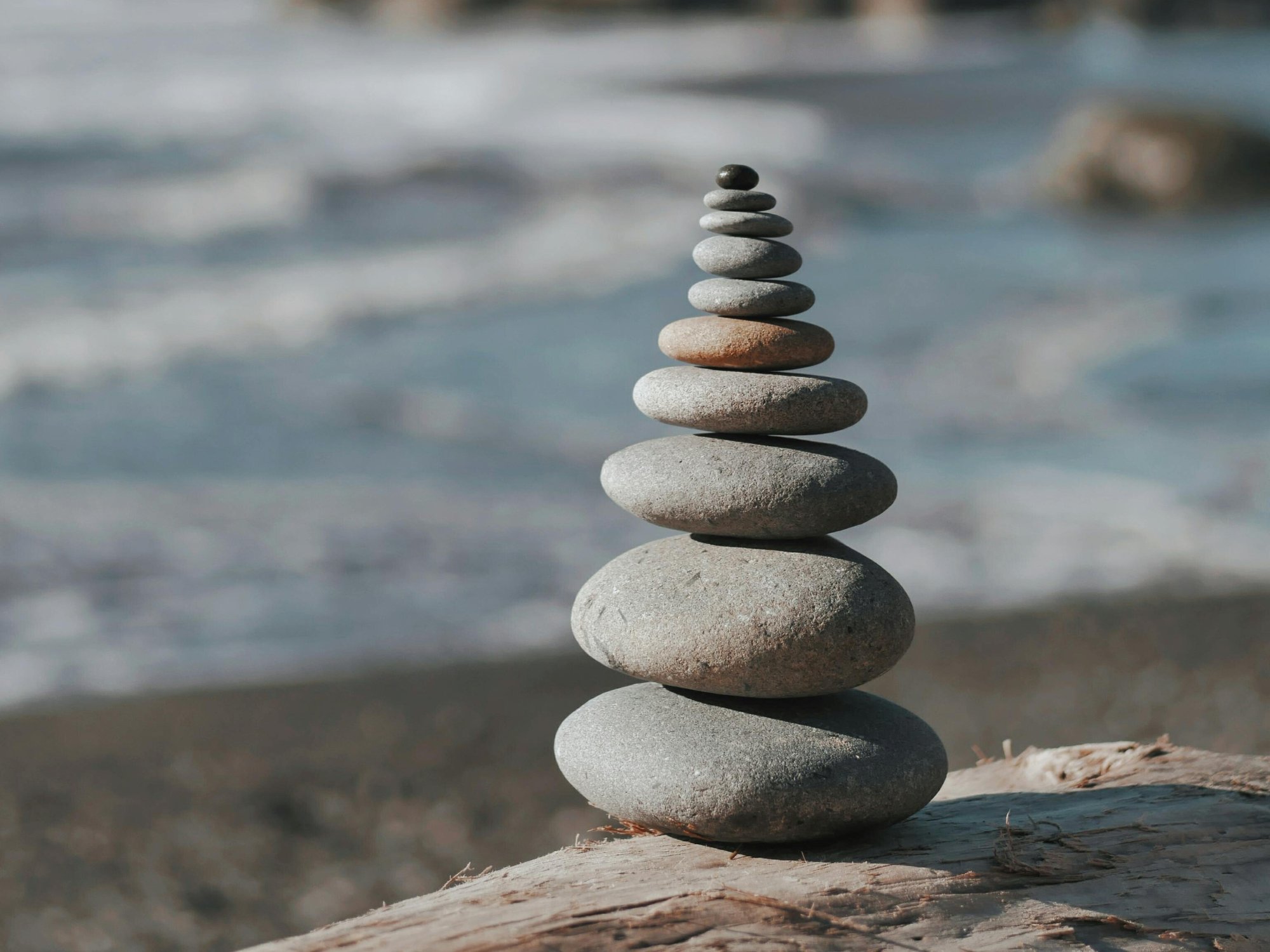 pexels-aleksey-kuprikov-1883853-3551254-1 pexels-aleksey-kuprikov-1883853-3551254-1